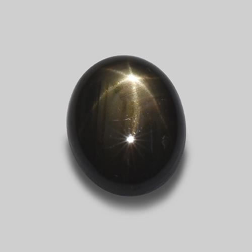 Black Star Sapphire Gem - 1.6ct Oval Cabochon (ID: 519635)