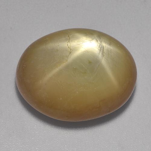 Orangish Gold Star Sapphire Gem - 20.2ct Oval Cabochon (ID: 522536)