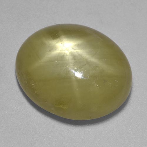 Golden Yellow Star Sapphire Gem - 12.4ct Oval Cabochon (ID: 522547)