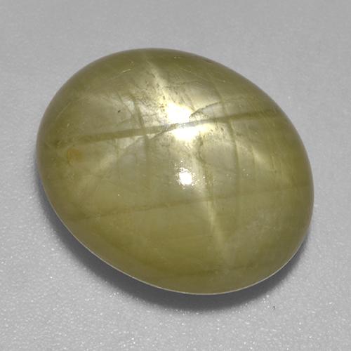 Golden Yellow Star Sapphire Gem - 13.6ct Oval Cabochon (ID: 522555)