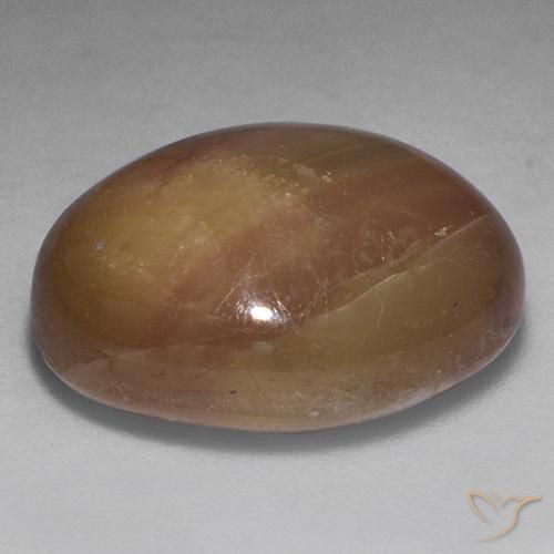 Star Sapphire Gemstone in 17.3 x 14.5 mm Size for Sale, Star Sapphire Stone in Orangish Gold Color