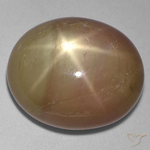31.95ct Natural Orangish Gold Star Sapphire, Oval, Opaque