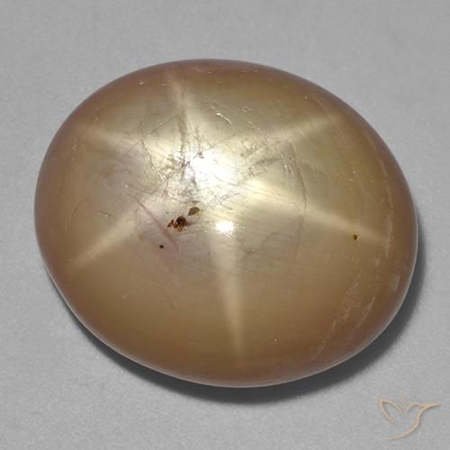 36.43 ct Golden Star Sapphire Stone, Natural Star Sapphire in Oval Cabochon Shape for Sale