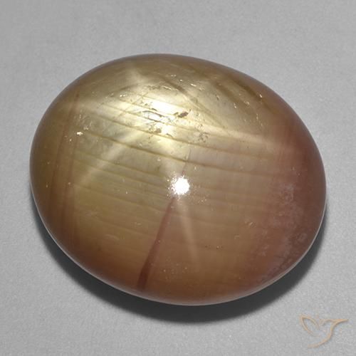 40.06 ct Golden Star Sapphire Stone, Natural Star Sapphire in Oval Cabochon Shape for Sale