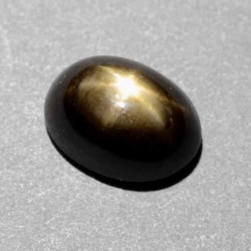 Black Star Sapphire Gem - 1.5ct Oval Cabochon (ID: 537927)
