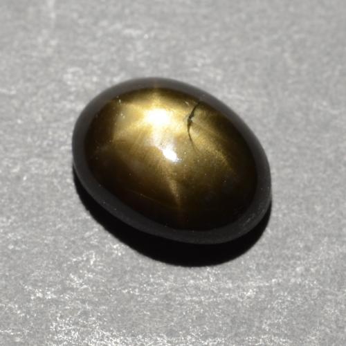 Black Star Sapphire Gem - 1.1ct Oval Cabochon (ID: 537932)