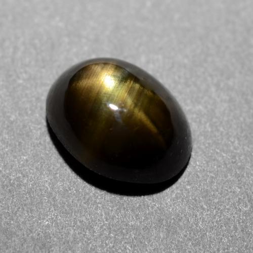 Black Star Sapphire Gem - 1.1ct Oval Cabochon (ID: 538112)