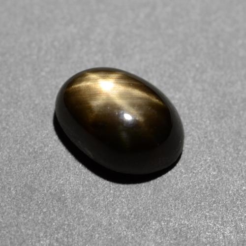 Schwarz Sternsaphir Edelstein - 1.5ct Oval Cabochon (ID: 538114)