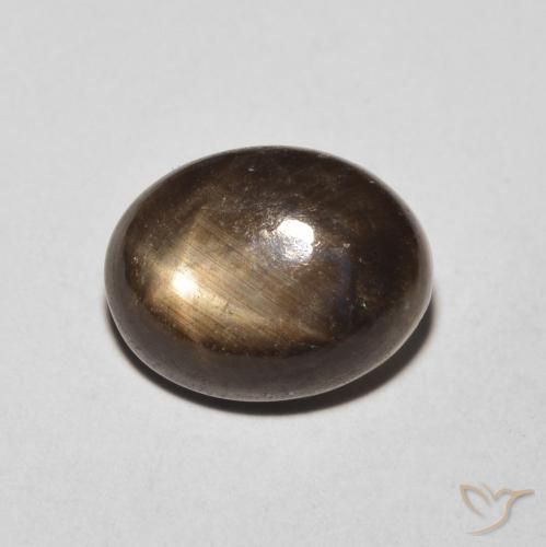 4.26ct Natural Black Star Sapphire, Oval, Opaque