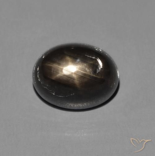 Saphir Étoilé Noire oval cabochon 8,2 x 6,4mm de la Thaïlande, poids de 2,72 ct, pierre gemme naturelle Chauffé de pureté Opaque , 1 pièce Saphir Étoilé, couleur : Noire, dureté de Mohs de 9 convient aux bijoux de tous les jours, pierre de sagesse, Photo A