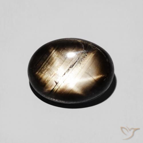 2.97ct Natural Black Star Sapphire, Oval, Opaque
