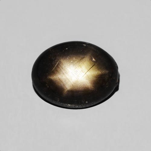 Saphir Étoilé Noire Ovale 7,4 x 5,8mm de la Thaïlande, poids de 1,27 ct, pierre gemme naturelle Chauffé de pureté Opaque , 1 pièce Saphir Étoilé oval cabochon, couleur : Noire, dureté de Mohs de 9 convient aux bijoux de tous les jours, pierre de sagesse, Photo A
