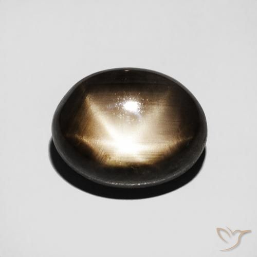 Saphir Étoilé Noire oval cabochon 9,3 x 7,1mm de la Thaïlande, poids de 3,5 ct, pierre gemme naturelle Chauffé de pureté Opaque , 1 pièce Saphir Étoilé, couleur : Noire, dureté de Mohs de 9 convient aux bijoux de tous les jours, pierre de sagesse, Photo A