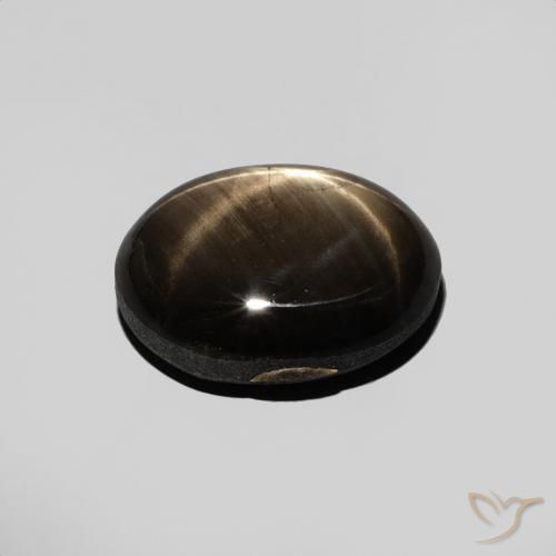 Star Sapphire Gemstone in 10 x 7.6 mm Size for Sale, Star Sapphire Stone in Black Color