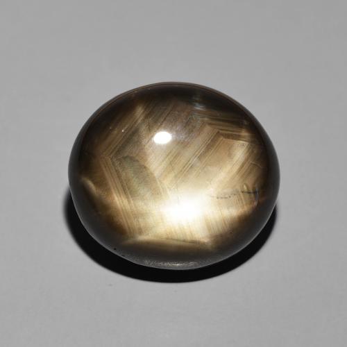 19.55ct Natural Black Star Sapphire, Oval, Opaque