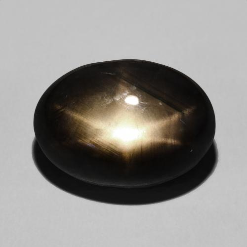 Zaffiro stellato Ovale cabochon da 15,27 ct dalla Thailandia, dimensione 15,6 x 10,8mm, purezza Opaque, pietra preziosa naturale Riscaldato, Zaffiro stellato 1pc in colore Nero, durezza Mohs di 9 adatto per gioielli da indossare ogni giorno, Photo A