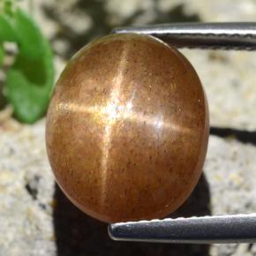 8.26 ct Brown Star Sunstone Gemstone, Star Sunstone Gem in Oval Cabochon Shape for Sale.