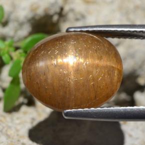 Star Sunstone Gemstone in 13.5 x 11.4 mm Size for Sale, Star Sunstone Stone in Medium Brown Color