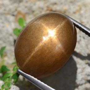 13.59 ct Brown Star Sunstone Stone, Natural Star Sunstone in Oval Cabochon Shape for Sale