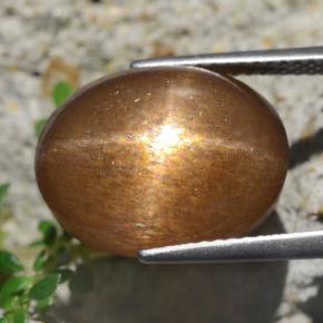 Star Sunstone Gemstone in 15.5 x 11.9 mm Size for Sale, Star Sunstone Stone in Golden-Brown Color