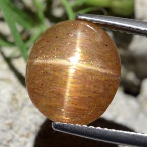 6.2ct Oval Cabochon Golden-Brown Star Sunstone Gem for sale 6.2ct Oval Cabochon Golden-Brown Star Sunstone Gem (ID: 471210)