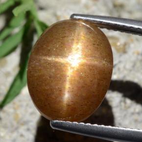 6.67 ct Brown Star Sunstone Gemstone, Star Sunstone Gem in Oval Cabochon Shape for Sale.