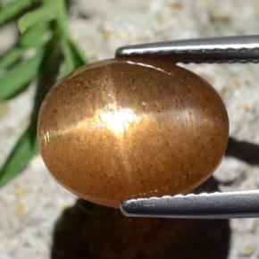 Star Sunstone Gemstone in 13 x 10.3 mm Size for Sale, Star Sunstone Stone in Golden-Brown Color