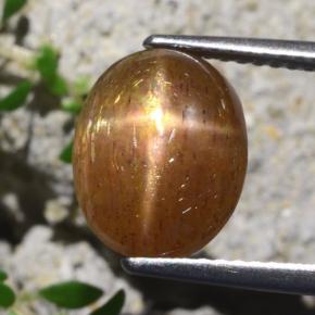 4.31 ct Brown Star Sunstone Gemstone, Star Sunstone Gem in Oval Cabochon Shape for Sale.