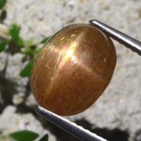 4.31 ct Brown Star Sunstone Stone, Natural Star Sunstone in Oval Cabochon Shape for Sale