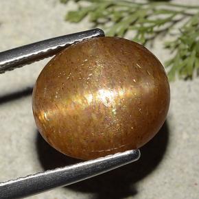 Star Sunstone Gemstone in 12.5 x 11 mm Size for Sale, Star Sunstone Stone in Golden-Brown Color