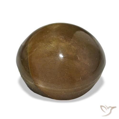 Star Sunstone Gemstone in 13 x 13 mm (calibrated) Size for Sale, Star Sunstone Stone in Golden Brown Color