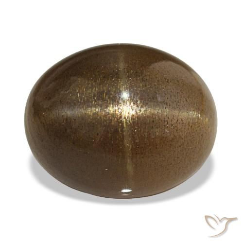 13.92ct Coffee Brown Star Sunstone, Oval, Opaque