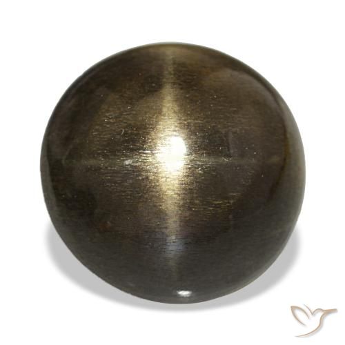 9.08ct Chocolate Brown Star Sunstone Gemstones, Round, Opaque