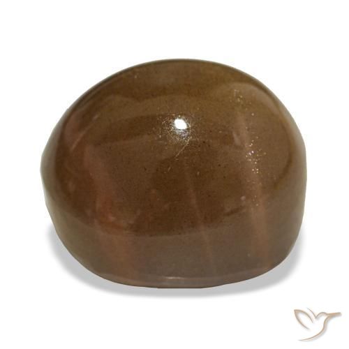 Star Sunstone Gemstone in 15.8 x 13.6 mm Size for Sale, Star Sunstone Stone in Earthy Brown Color