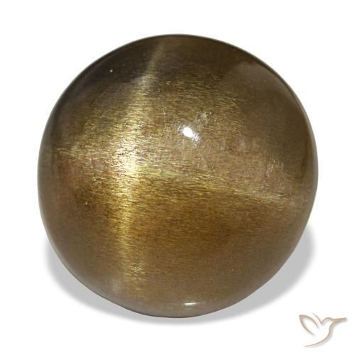 18.17 ct Brown Star Sunstone Stone, Natural Star Sunstone in Round Cabochon Shape for Sale