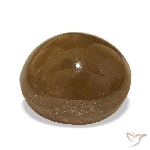 Star Sunstone Gemstone in 14 x 12 mm (calibrated) Size for Sale, Star Sunstone Stone in Caramel Brown Color