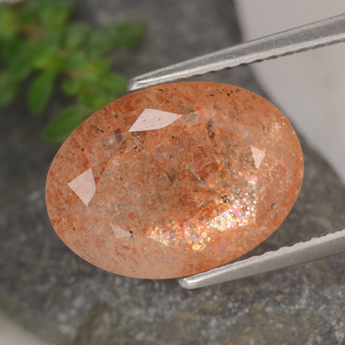 Eliolite o pietra del sole 13,9 x 10,2mm arancione Ovale sfaccettato dall'India, peso di 6,17 ct, gemma naturale non trattati in purezza Translucent, 1 pezzo Eliolite o pietra del sole - Colore: zenzero arancia, durezza Mohs di 6 - 6,5, Photo A