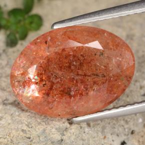 Grapefruit Orange Eliolite o pietra del sole Gem - 5.5ct Ovale sfaccettato (ID: 477896)