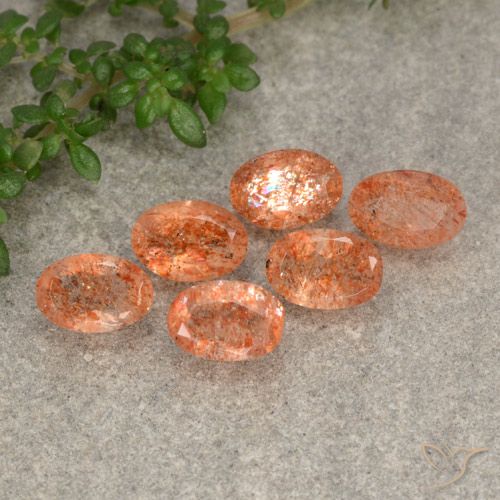 Grapefruit Orange Солнечный Камень Камень - 0.5ct Фасетный Овал (ID: 480129)