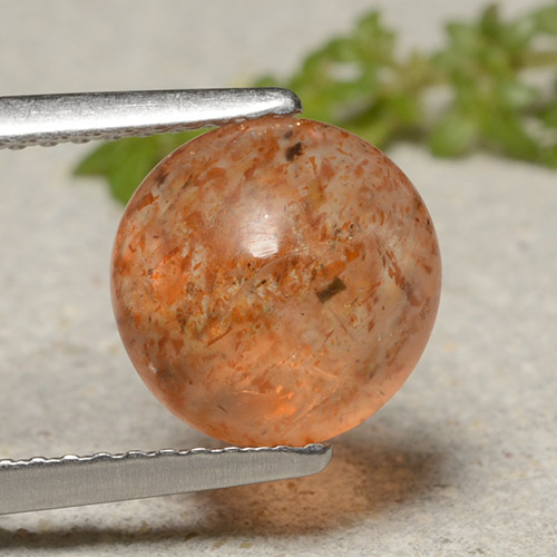 Medium Orange Sunstone Gem - 2.3ct Round Cabochon (ID: 482169)