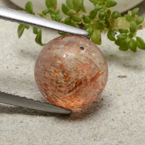 Warm Orange Sunstone Gem - 2.7ct Round Cabochon (ID: 482253)