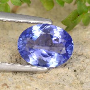 Azul violeta intenso Tanzanita Gema - 1.3ct Forma ovalada (ID: 348162)