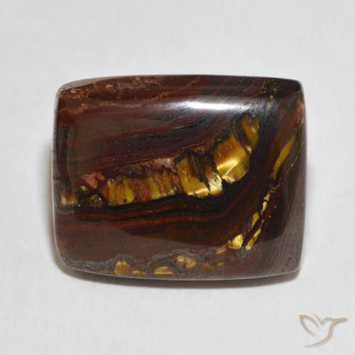 24.00ct Natural Multicolor Tiger's Eye Matrix, Cushion, Opaque