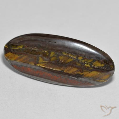31.43 ct Multicolor Tiger's Eye Matrix Stone, Natural Tiger's Eye Matrix in Oval Cabochon Shape for Sale