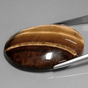 Tiger's Eye Gemstone in 40 x 29.9 mm Size for Sale, Tiger's Eye Stone in Gold Brown Color