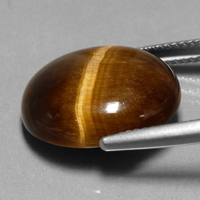 Tiger's Eye Gemstone in 17.2 x 14.5 mm Size for Sale, Tiger's Eye Stone in Gold Brown Color
