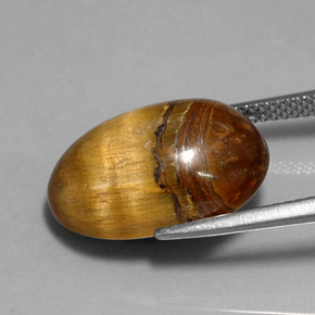 Tiger's Eye Gemstone in 17.8 x 11.8 mm Size for Sale, Tiger's Eye Stone in Gold Brown Color