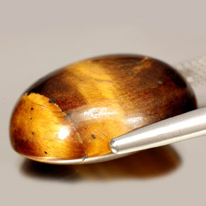 Tiger's Eye Gemstone in 20.8 x 16.4 mm Size for Sale, Tiger's Eye Stone in Gold Brown Color