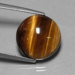 11.38 ct Brown Tiger's Eye Stone, Natural Tiger's Eye in Round Cabochon Shape for Sale