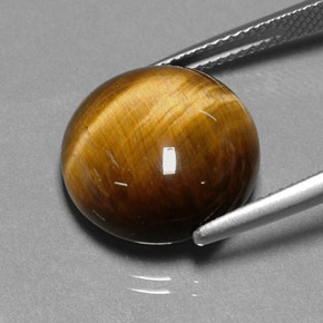 Tiger's Eye Gemstone in 14.9 mm Size for Sale, Tiger's Eye Stone in Gold Brown Color
